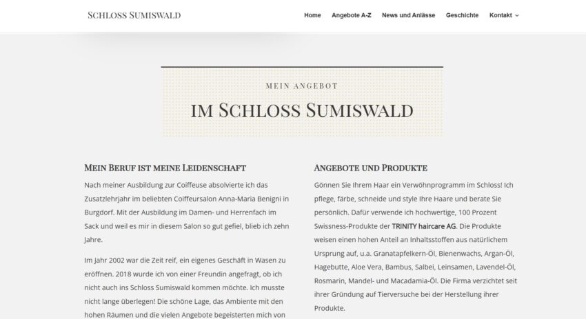 Screen Website 2